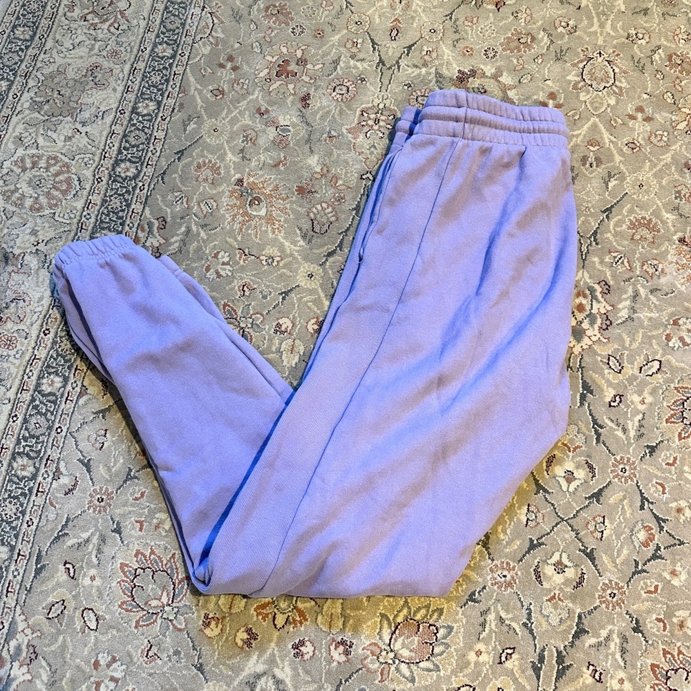 Aritzia TNA Cozy Fleece Joggers in Purple